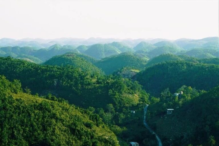 d5d24f3a-a14c-4db1-b665-59b66d3b