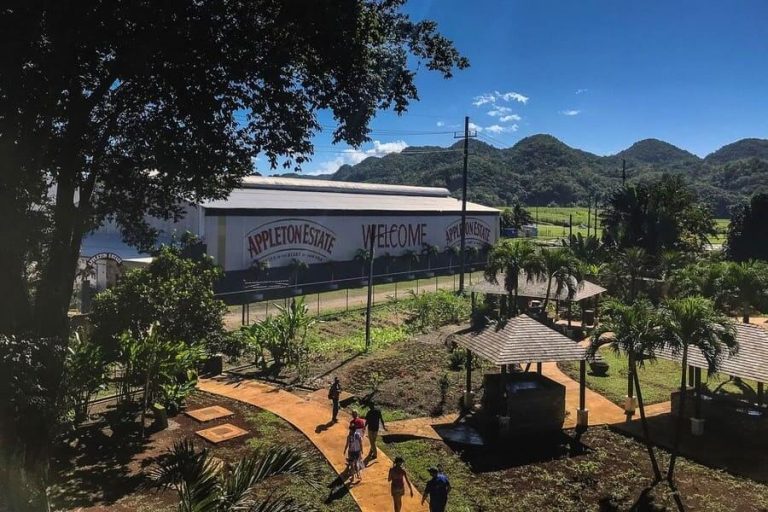 dd32044d-e50e-4504-b271-e7514f00